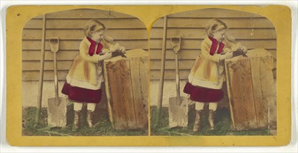 Found a Prize; Franklin G. Weller, American, 1833 - 1877, about 1870; Hand-colored Albumen silver print