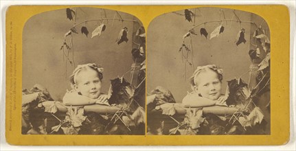 Happy Thoughts; Franklin G. Weller, American, 1833 - 1877, 1871; Albumen silver print