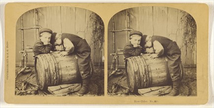 New Cider; Franklin G. Weller, American, 1833 - 1877, 1875; Albumen silver print