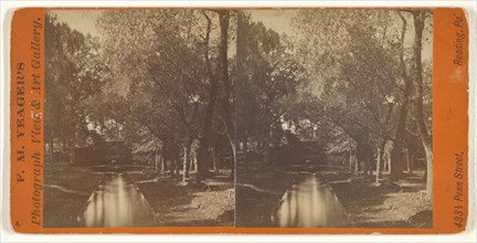 Litiz Springs, Lancaster Co; F.M. Yeager, American, active Reading, Pennsylvania 1870s, 1870s; Albumen silver print