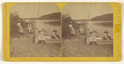View on Lake Minnetonka; Charles A. Zimmerman, American, born France, 1844 - 1909, about 1870; Albumen silver print