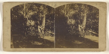 Group of children seated on a long tree branch; about 1860; Albumen silver print