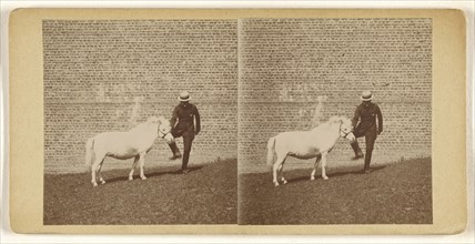 Man in straw hat posed with white horse in front of a brick wall; about 1865; Albumen silver print