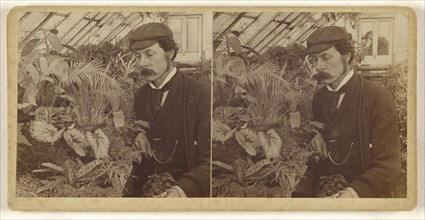 Man with moustache, wearing cap, posed with flowers in greenhouse; about 1880; Albumen silver print