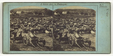 A cattle-fair in Bretagne; French; about 1858; Albumen silver print