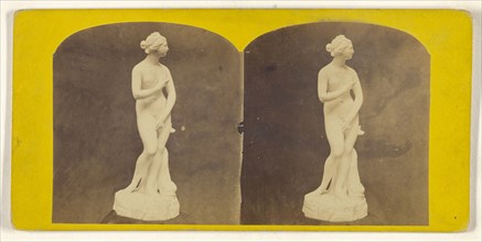 Venus de Medici; about 1865; Albumen silver print