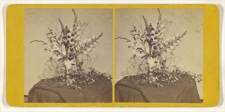 Flower arrangement; about 1860; Albumen silver print