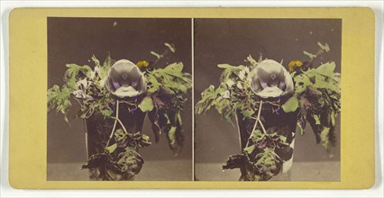 Flor del Espiritu Santo or The Flower of the Holy Ghost.; about 1865; Hand-colored Albumen silver print