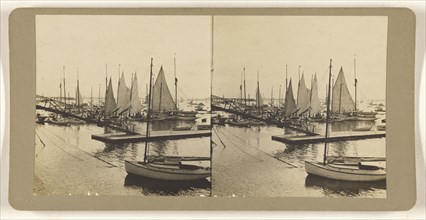 Sailboats in harbor; American; about 1890; Gelatin silver print