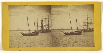 New York Harbor; American; about 1865; Albumen silver print