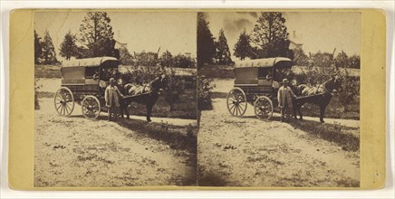 J.H. Upton, Horse & Wagon; American; about 1865; Albumen silver print