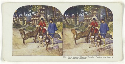 Nara, Japan. Kasuga Temple. Feeding the Deer in the Temple Grounds; about 1905; Color Photomechanical