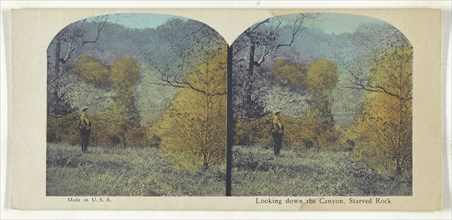 Looking down the Canyon, Starved Rock; American; about 1900; Color Photomechanical