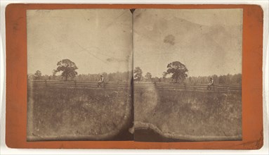 Meadow of Old Farm; about 1890; Albumen silver print