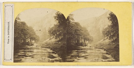 View in Dovedale; British; about 1860; Albumen silver print