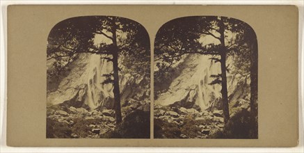 Powerscourt Waterfall; British; about 1860; Albumen silver print