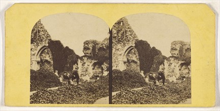 Hastings. The Castle, showing the side Chapel; British; about 1860; Albumen silver print