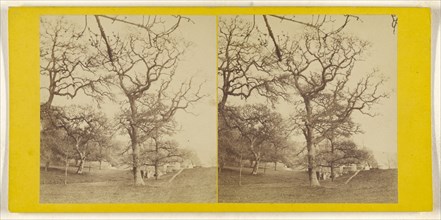 Bridge at Penrose; British; about 1860; Albumen silver print