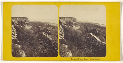 Undercliff near Niton, Isle of Wight; British; about 1860; Albumen silver print