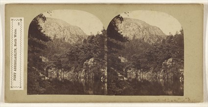 Pont Aberglaslyn, North Wales; British; about 1865; Albumen silver print