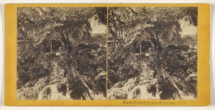 Pandy Mill & Falls, near Bettws-y-coed, N. Wales; British; about 1865; Albumen silver print