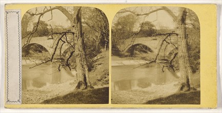 River scene, Great Britain; British; about 1865; Albumen silver print