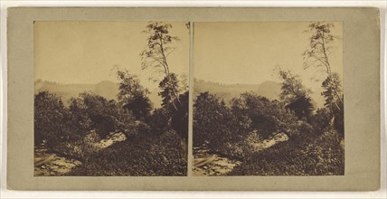 On the banks of the Devon; British; about 1860; Albumen silver print