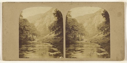 View in Dovedale; British; about 1865; Albumen silver print