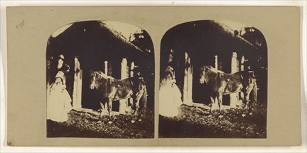 Woman and pony near stable; British; about 1860; Albumen silver print