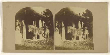 Woman and pony near stable; British; about 1860; Albumen silver print