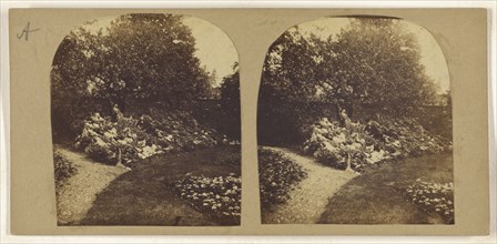 Rock garden; British; about 1860; Albumen silver print