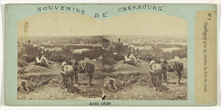 Cherbourg pris du chemin du fort du roule; French; August 1858; Albumen silver print