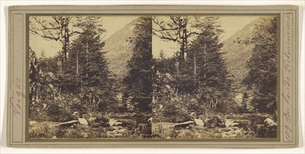 Vosges. Au lac de Retouruemer; French; about 1865; Albumen silver print
