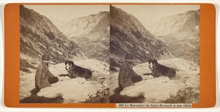 Le Maronnier du Saint-Bernard et son chien; about 1865; Albumen silver print, Switzerland