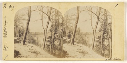 Winter Scene, Niagara; Canadian; about 1863; Albumen silver print
