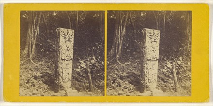 Monolith, Ruins of Copan, Central America. No Altar-stone. Front facing West, and North side; about 1870; Albumen silver print