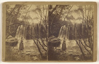 The Weeping Rock  Wentworth Falls, Blue Mts, N.S.W., Oct. 1st 1884; October 1, 1884; Albumen silver print