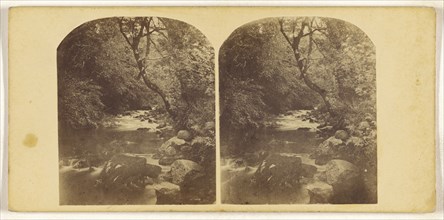 River Yealm Buck of, British; about 1870; Albumen silver print