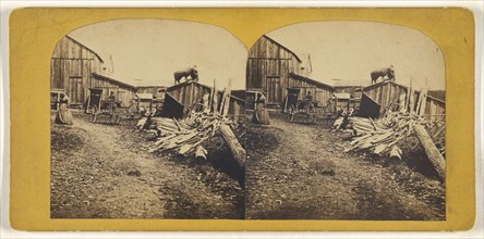 Hudson Valley; American; about 1865; Albumen silver print