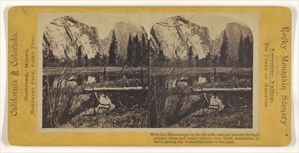 Yosemite Valley, Big Trees of Mariposa; American; about 1870; Albumen silver print