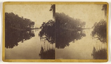 View on St. John's River, Florida, ?, American; about 1870; Albumen silver print