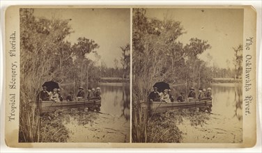 On Silver Springs River. Florida; American; about 1870; Albumen silver print