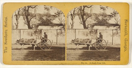 A Study from Life. Savannah, Georgia; American; about 1875; Albumen silver print