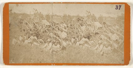 Red River Carts in Camp at St. Anthony, Minnesota. About 1857; American; about 1857; Albumen silver print