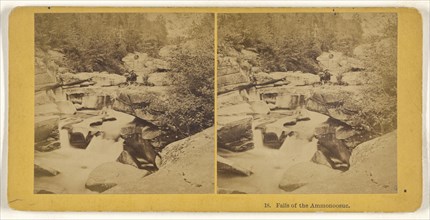 Falls of the Ammonoosuc; American; about 1870; Albumen silver print