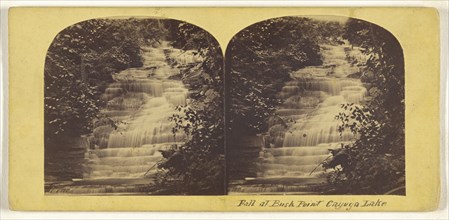 Fall at Bush Point, Cayuga lake; American; about 1870; Albumen silver print