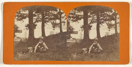 View of Lake George. Mr. W. Linfield in Foreground; American; about 1870; Albumen silver print