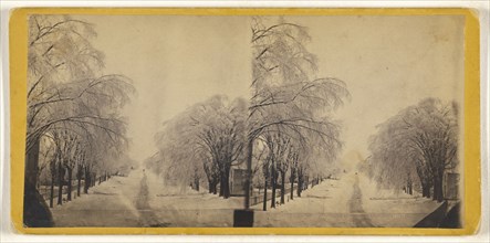 Elm Street, Winter, Potsdam, N.Y; American; about 1865; Albumen silver print