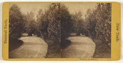 View in the Ramble. Central Park, New York; American; about 1865; Albumen silver print