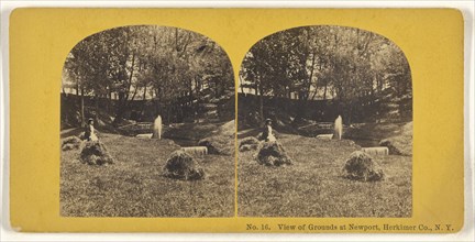 View of Grounds at Newport, Herkimer Co., N.Y; American; about 1865; Albumen silver print